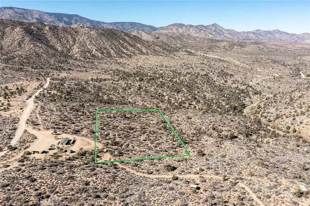 a view of a covered with large trees