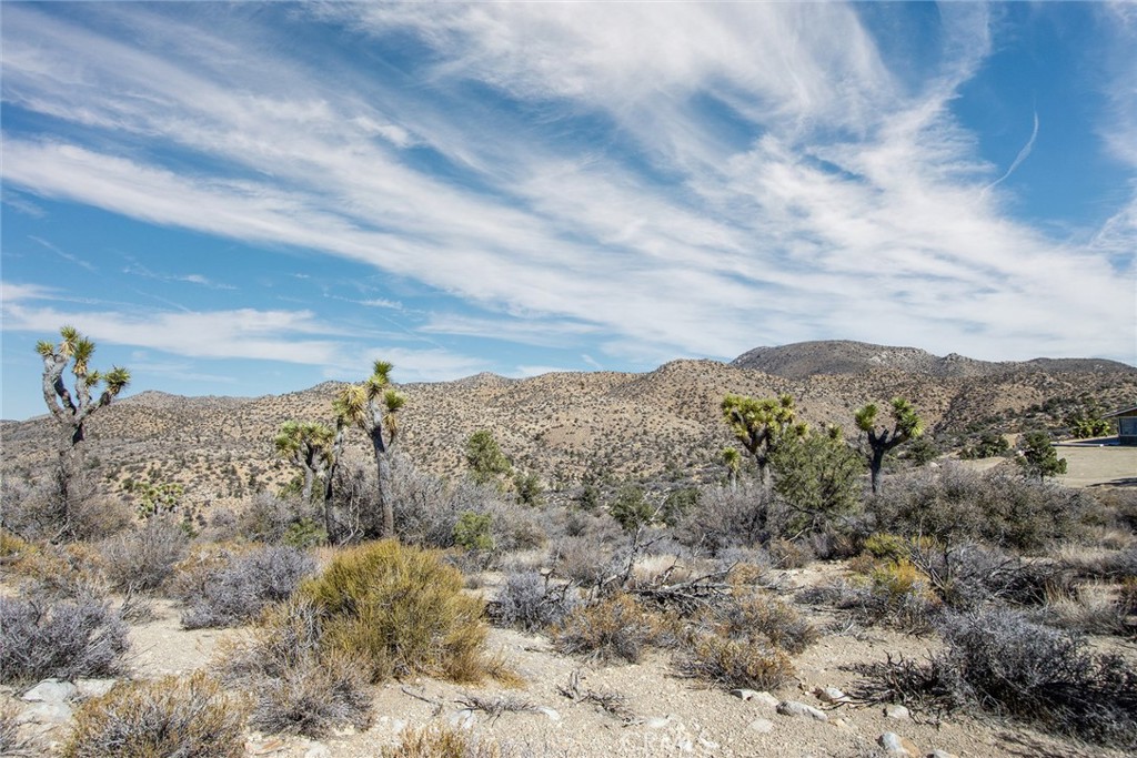 48400 Madison Road Landers, CA 92285 - Photo 9 of 21 a view of a covered with large trees