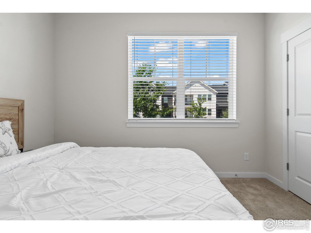 2107 Setting Sun Drive Windsor, CO 80550 - Photo 13 of 40 a bedroom with a bed and a window
