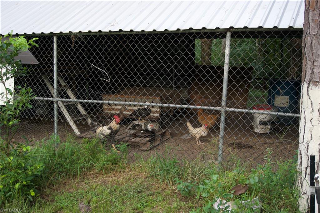 2407 Randall Boulevard Naples, FL 34120 - Photo 18 of 46 a view of a backyard