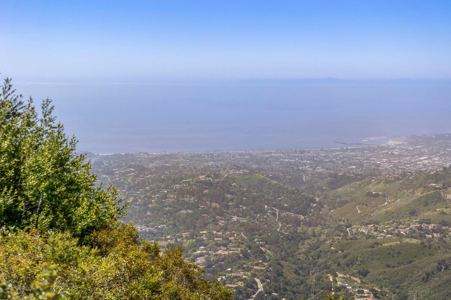 2888 Gibraltar Road Santa Barbara, CA 93105 - Photo 22 of 24 a view of a large trees with lots of bushes