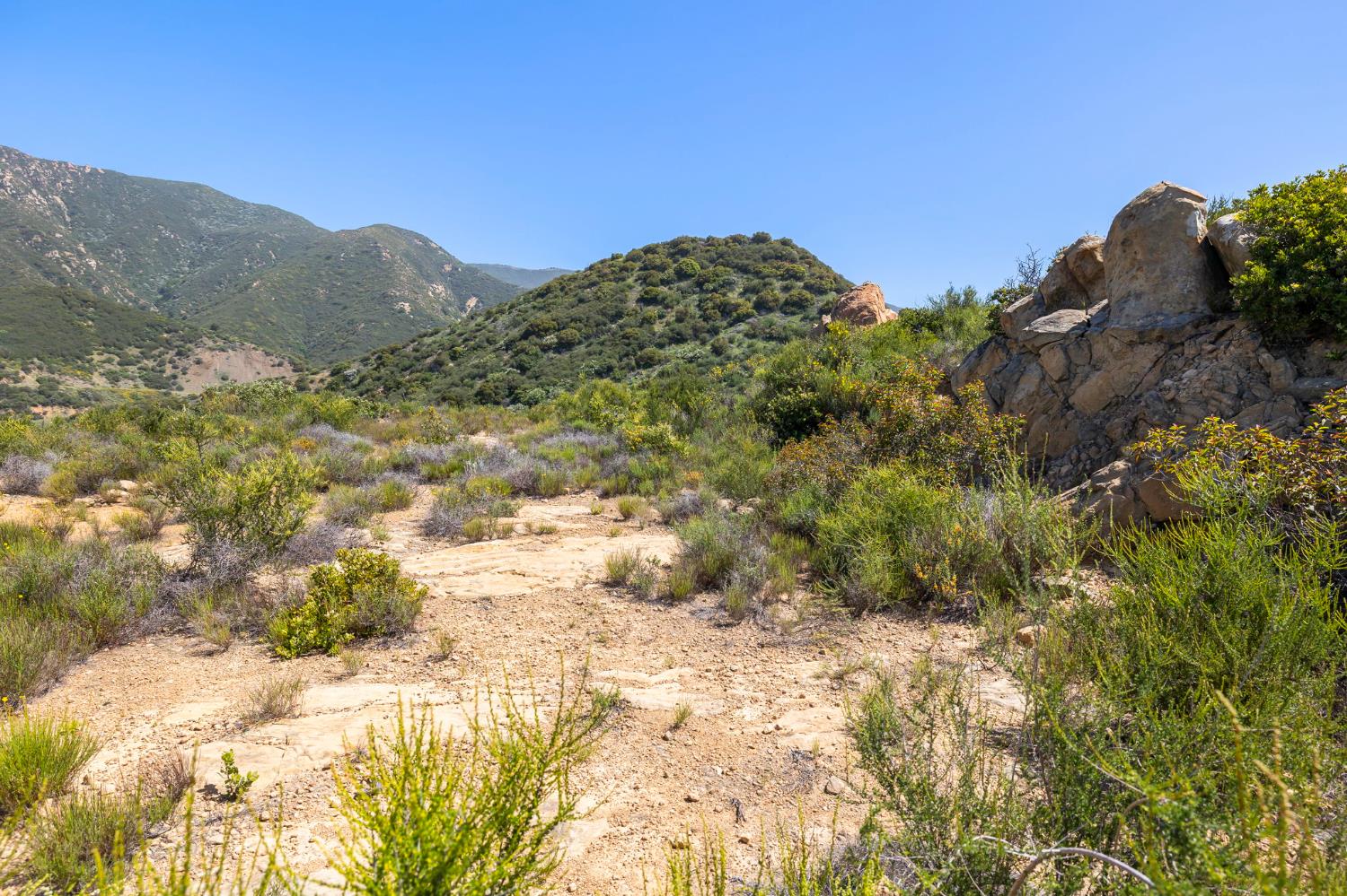 2888 Gibraltar Road Santa Barbara, CA 93105 - Photo 5 of 24 a view of a dry yard with mountains in the background