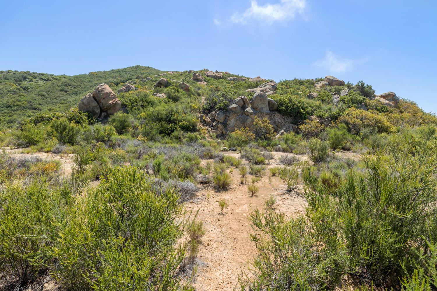 2888 Gibraltar Road Santa Barbara, CA 93105 - Photo 9 of 24 a view of a field with a mountain in the background