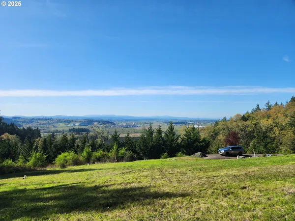 a view of a big yard with a large trees