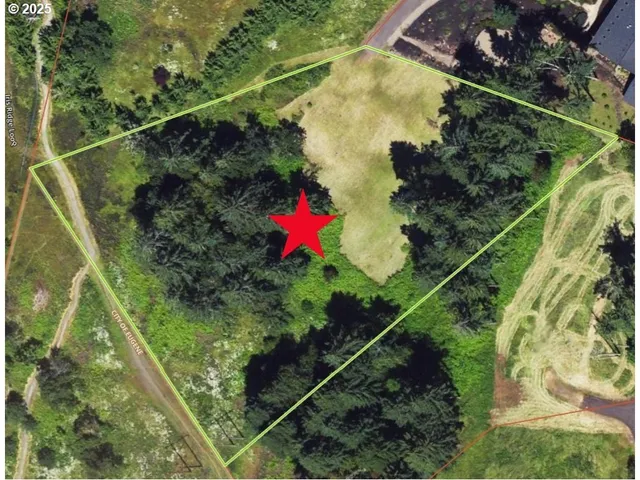 a view of a grassy area with an trees