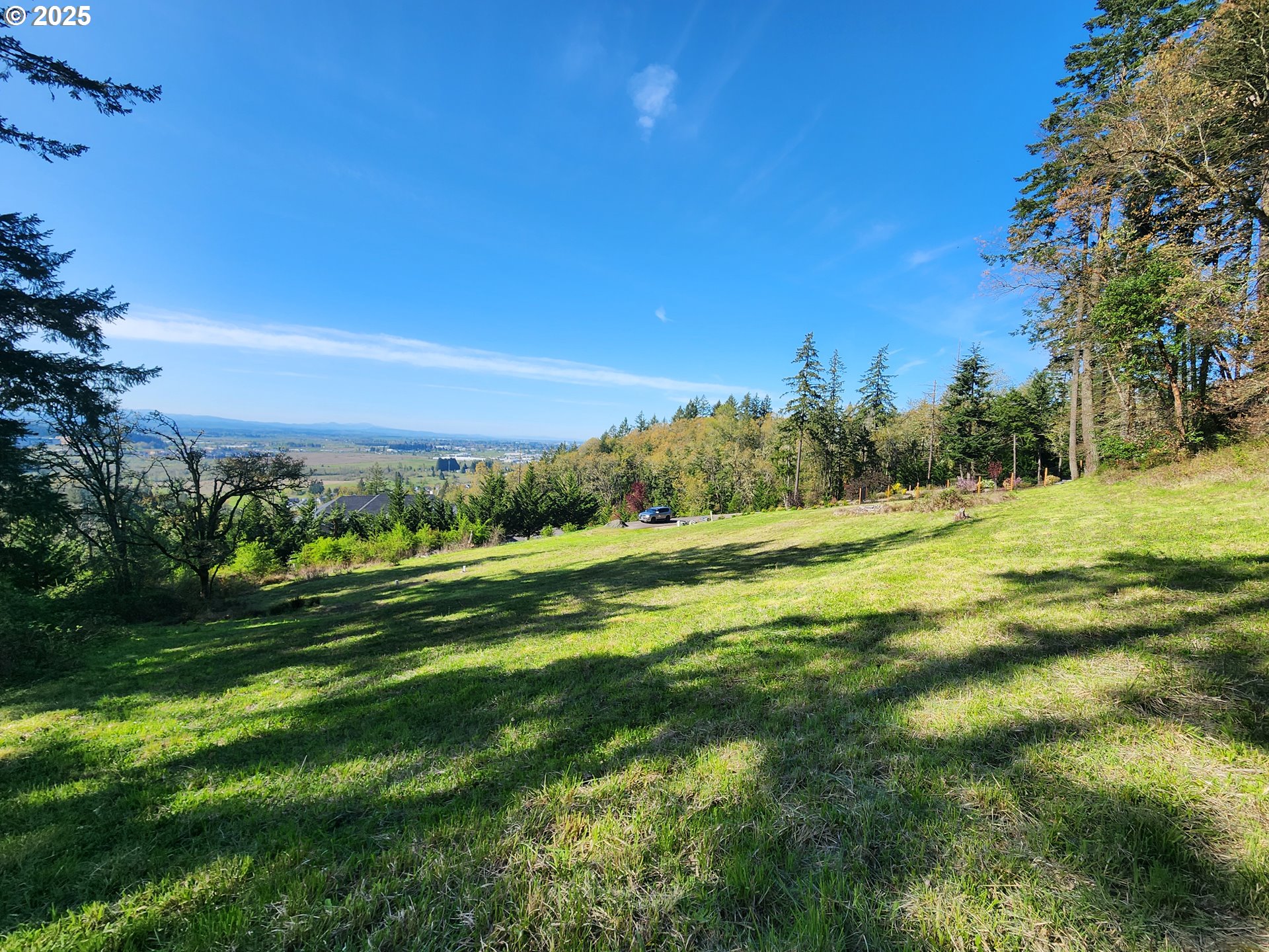 Eagle View Drive, Unit 3 Eugene, OR 97405 - Photo 8 of 11 a view of a grassy area with an trees