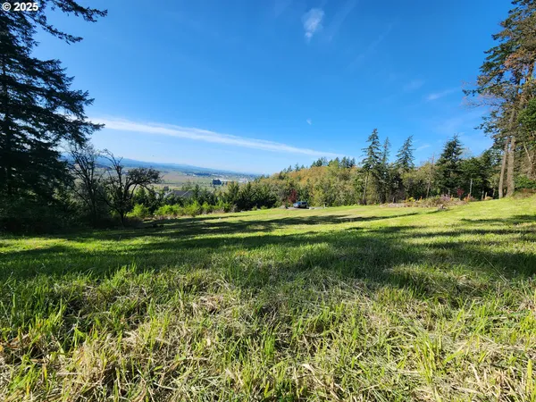 a view of a field with an ocean