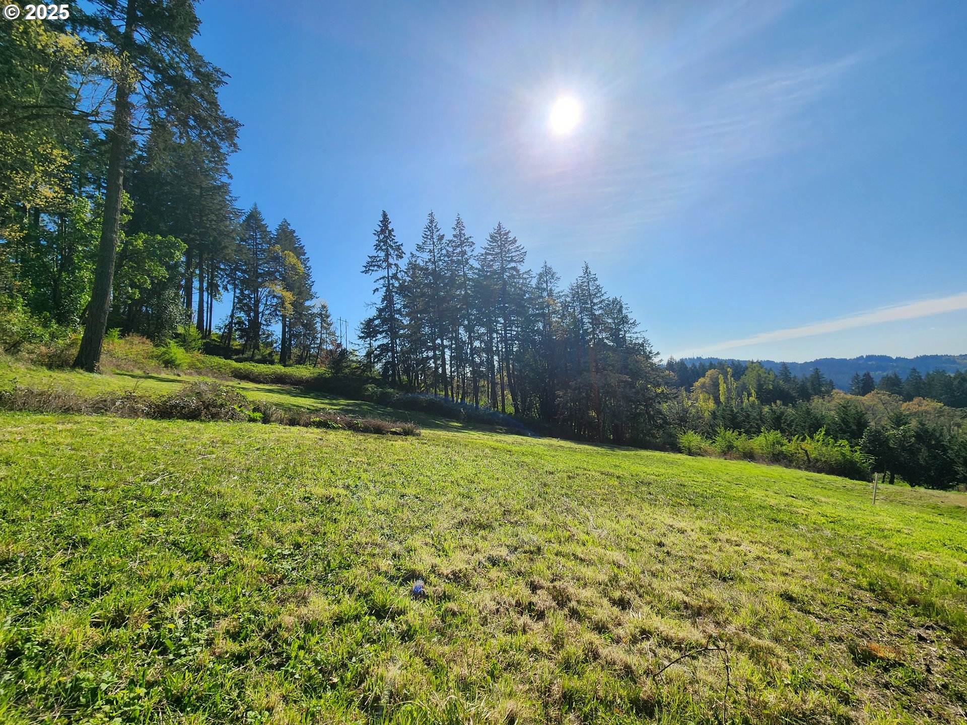 Eagle View Drive, Unit 3 Eugene, OR 97405 - Photo 10 of 11 a view of a field with a tree