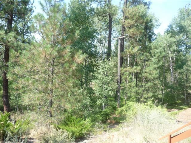 15309 Cheney Spokane Road Cheney, WA 99004 - Photo 16 of 19