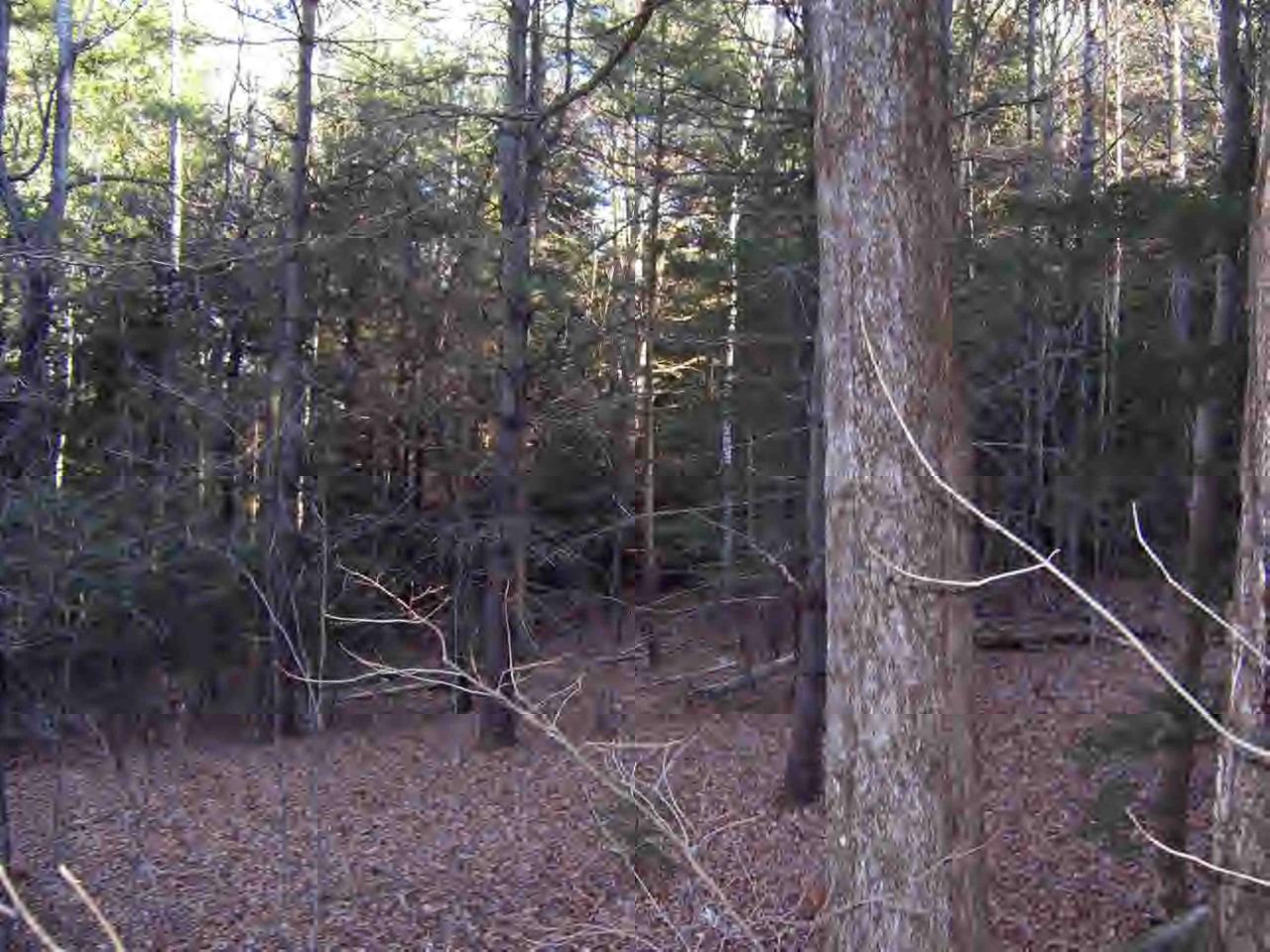 West Cummington Road Cummington, MA 01026 - Photo 2 of 6 Additional Photo