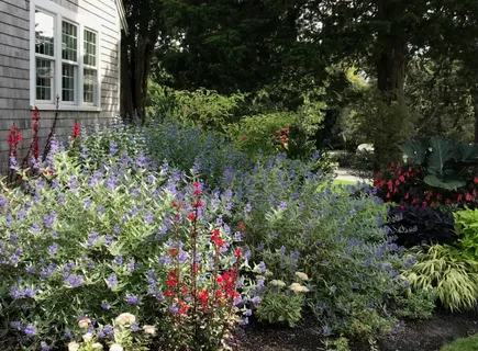 $1,395,000 | 80 Briar Spring Road, Orleans, MA 02653