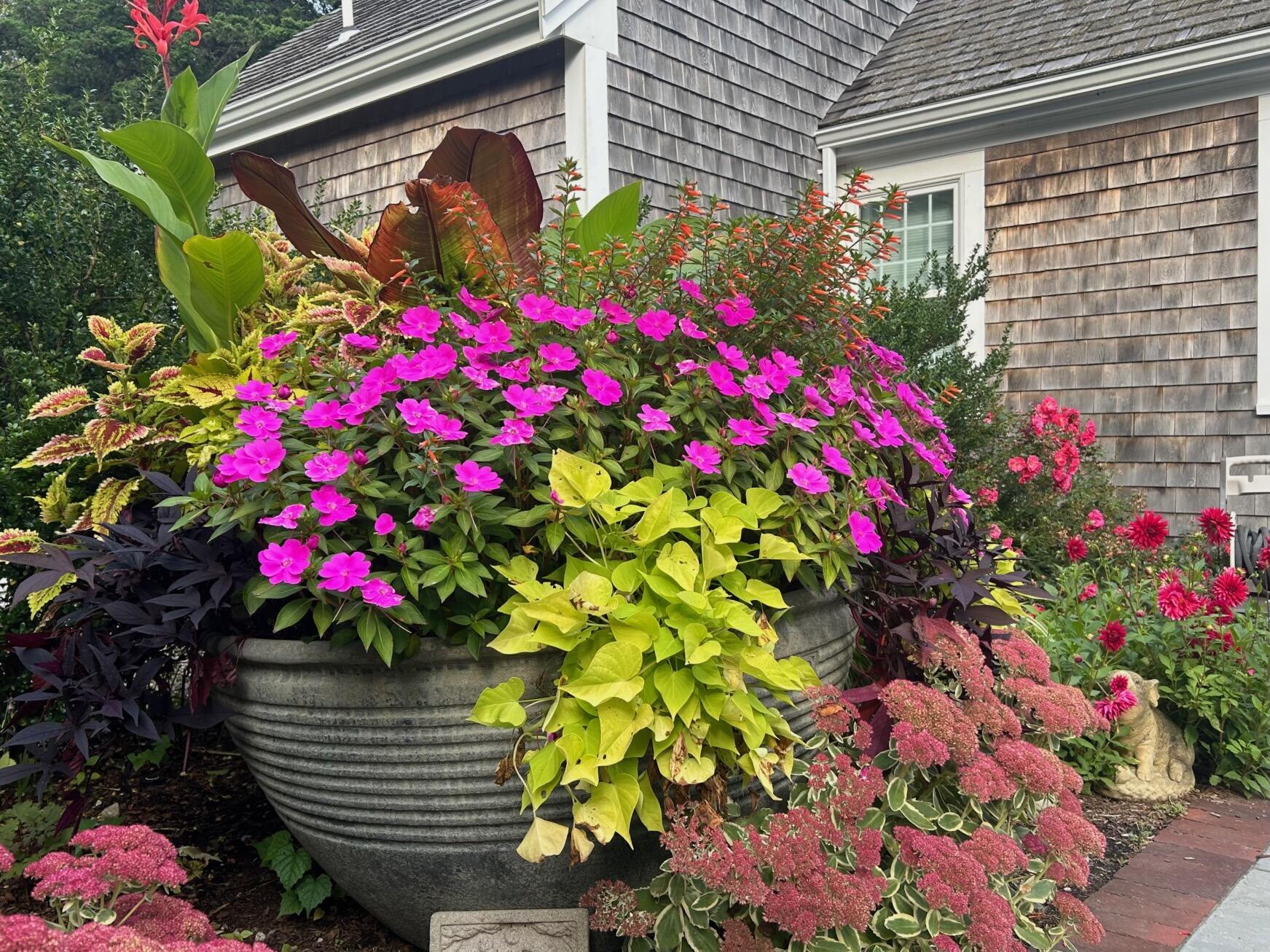 80 Briar Spring Road Orleans, MA 02653 - Photo 51 of 69 Flowers