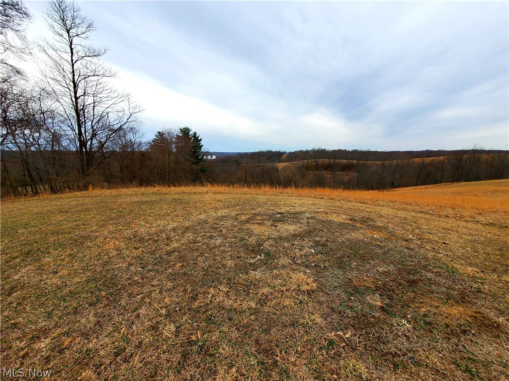 Kilgore Road Scio, OH 43988 - Photo 7 of 18 Gallery Image 7