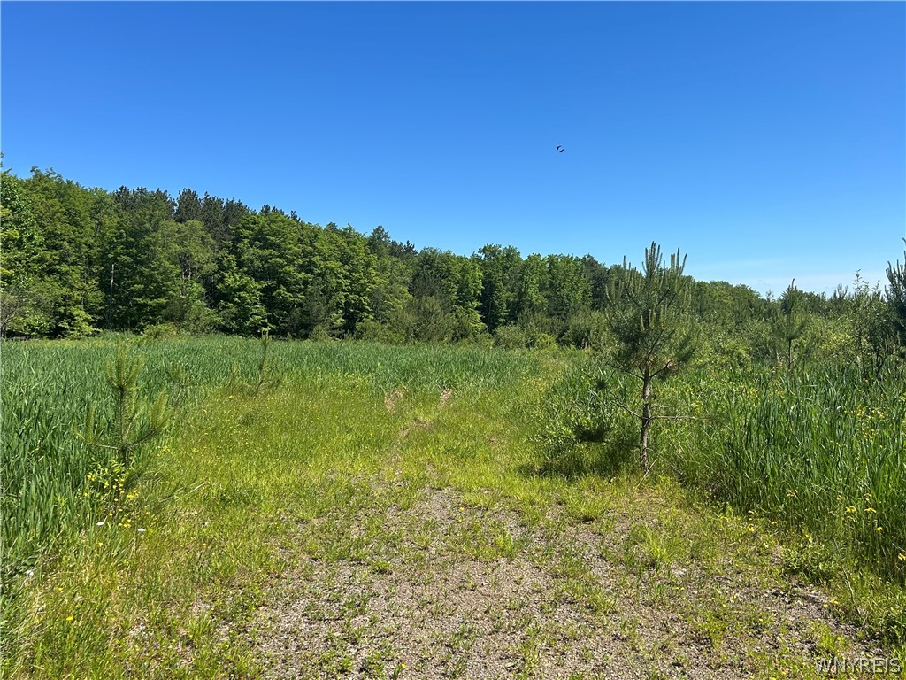 Warner Hill Road South Wales, NY 14139 - Photo 3 of 5