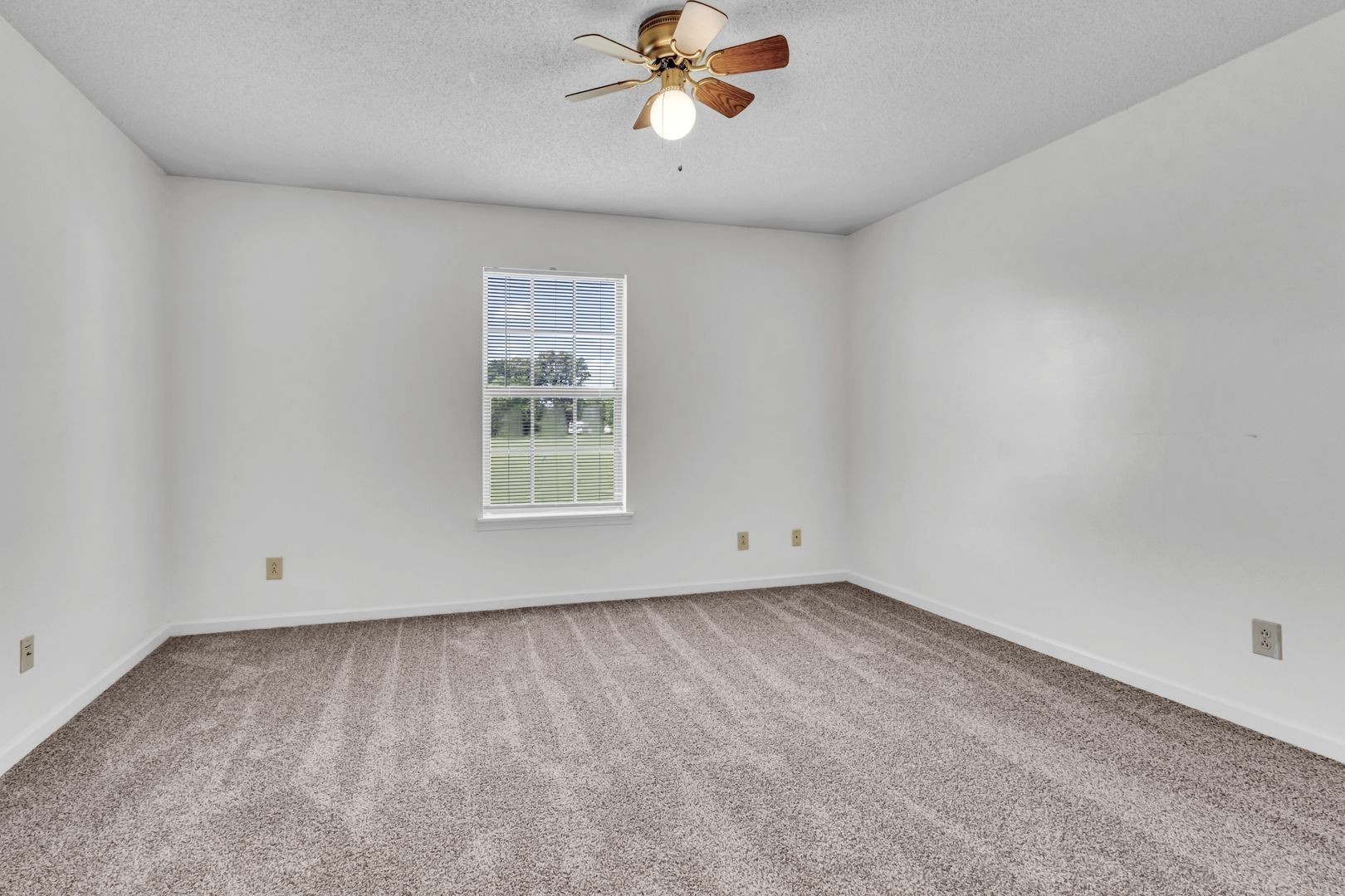 293 State Line Road Oak Grove, KY 42262 - Photo 15 of 18 Gallery Image 15