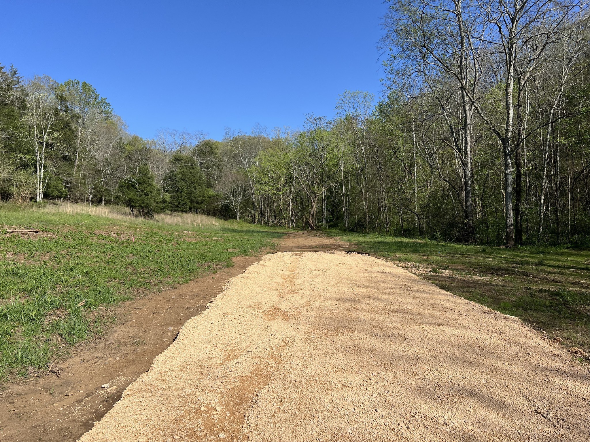 0 Preacher Holt Road Mount Pleasant, TN 38474 - Photo 8 of 14 Gallery Image 8