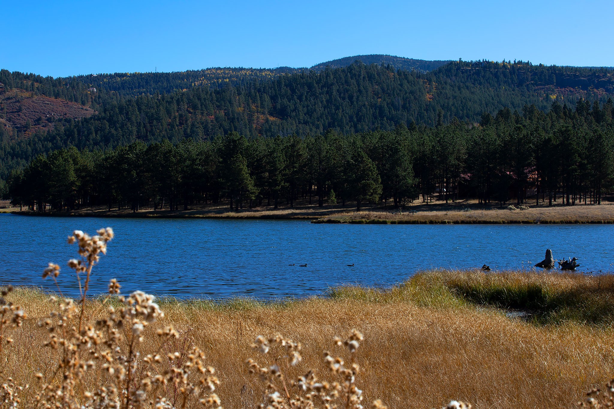 1 The Ranch Angel Fire, NM 87710 - Photo 59 of 67