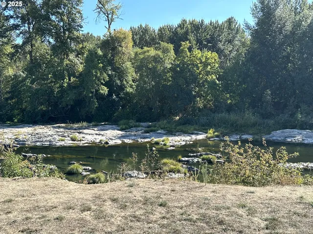 a view of a water fountain