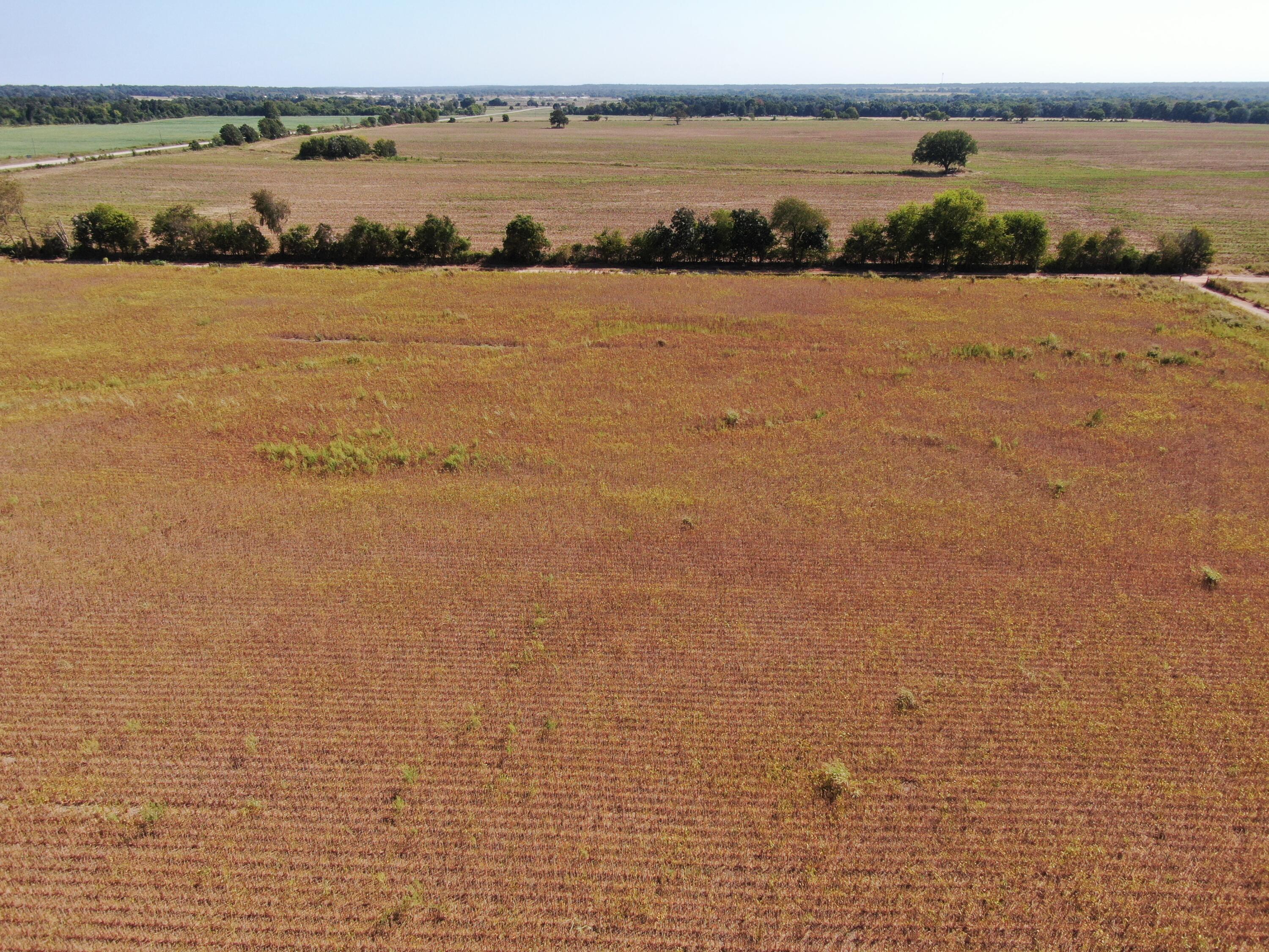 41243 South 700 Road Jay, OK 74346 - Photo 36 of 38 Gallery Image 36