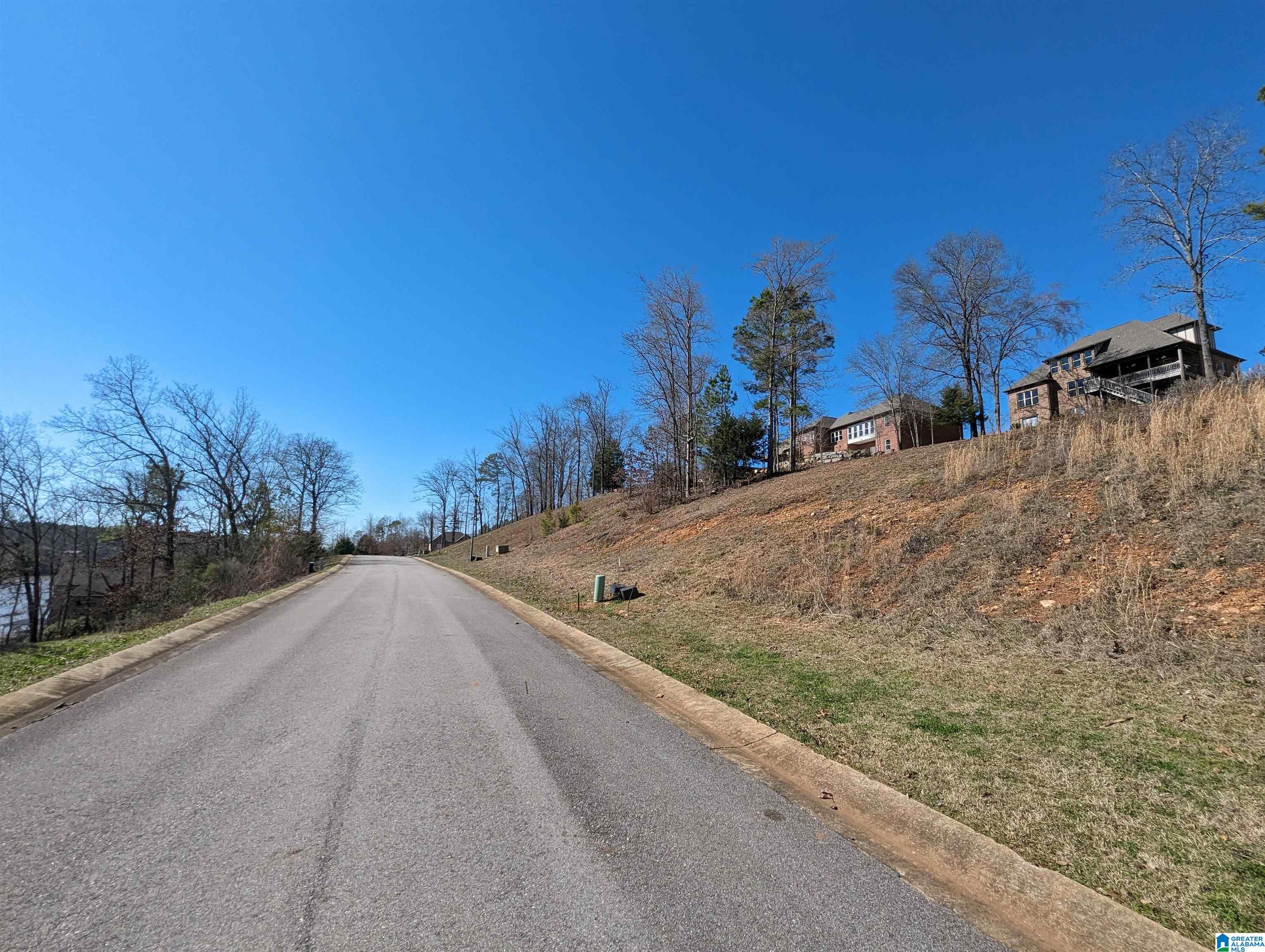 0 Overlook Ridge Lincoln, AL 35096 - Photo 18 of 33