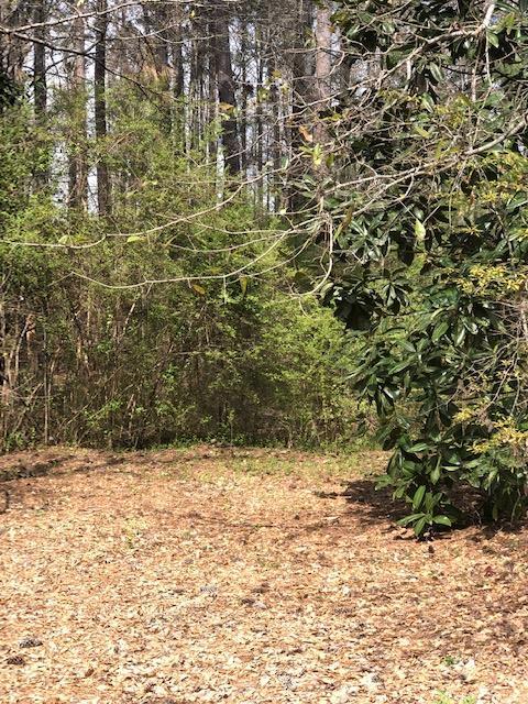 283 White Oak Road Pine Mountain, GA 31822 - Photo 6 of 19 a view of a yard