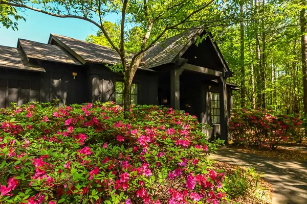 a view of a patio with table and chairs potted plants and large tree