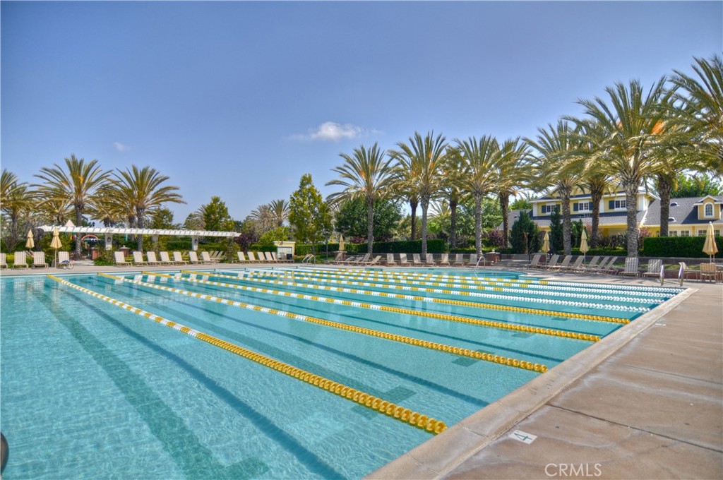 7 Bluewing Lane Ladera Ranch, CA 92694 - Photo 41 of 55 a view of swimming pool with a yard and palm trees