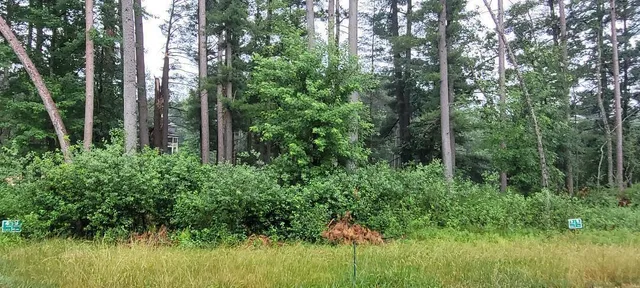 $60,900 | Lt5 Fly Rod Trail, Wisconsin Rapids, WI 54494