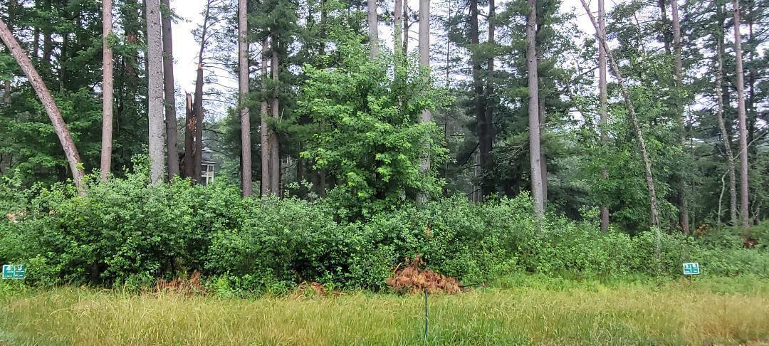 Lt5 Fly Rod Trail Wisconsin Rapids, WI 54494 - Photo 18 of 18 20220722210751519428000000-o