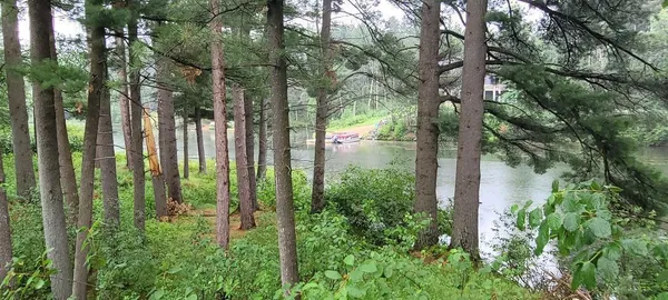 $39,900 | Lt5 Fly Rod Trail, Wisconsin Rapids, WI 54494