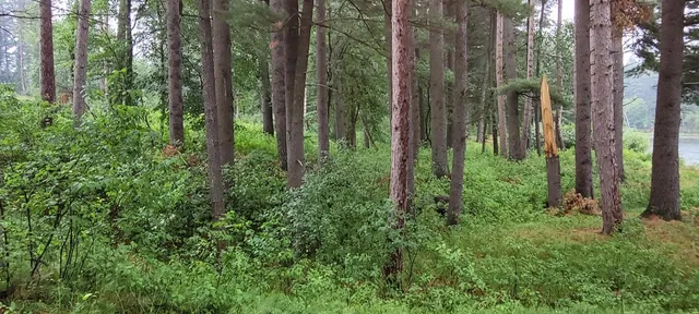 $60,900 | Lt5 Fly Rod Trail, Wisconsin Rapids, WI 54494