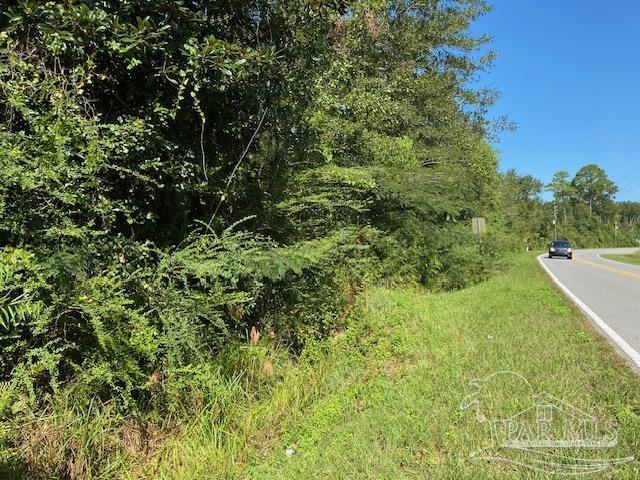 a view of a lush green space