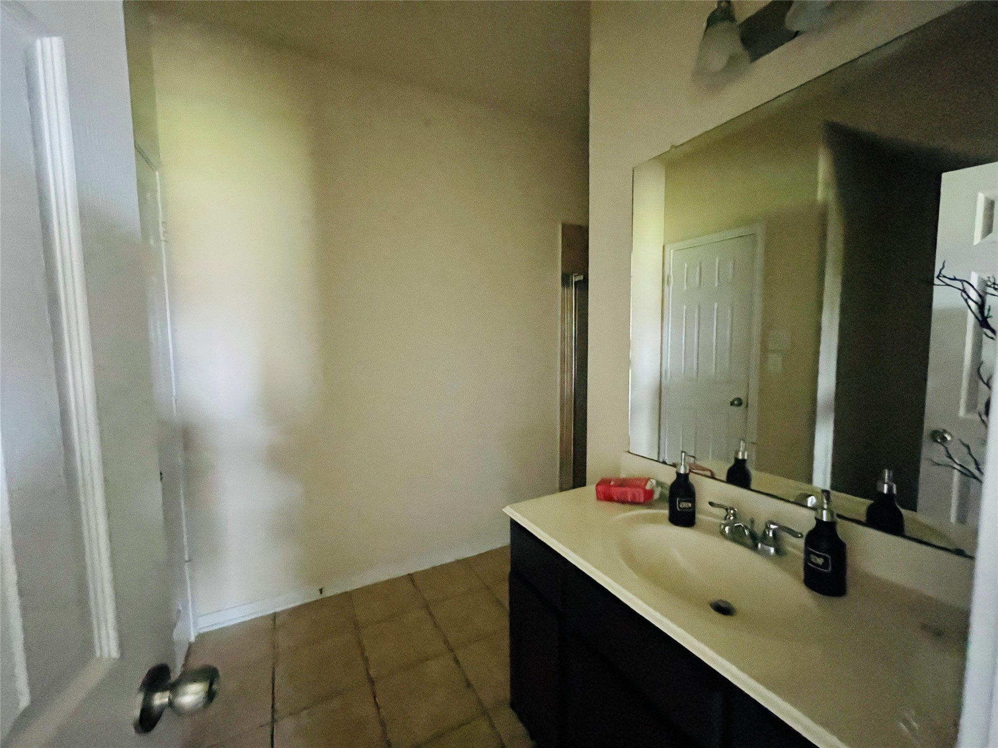 29311 Nectar Bloom Court Spring, TX 77386 - Photo 13 of 15 a bathroom with a sink and a mirror