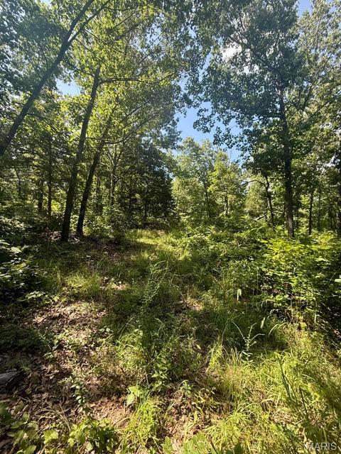 10595 Mill Road Bucyrus, MO 65444 - Photo 28 of 34