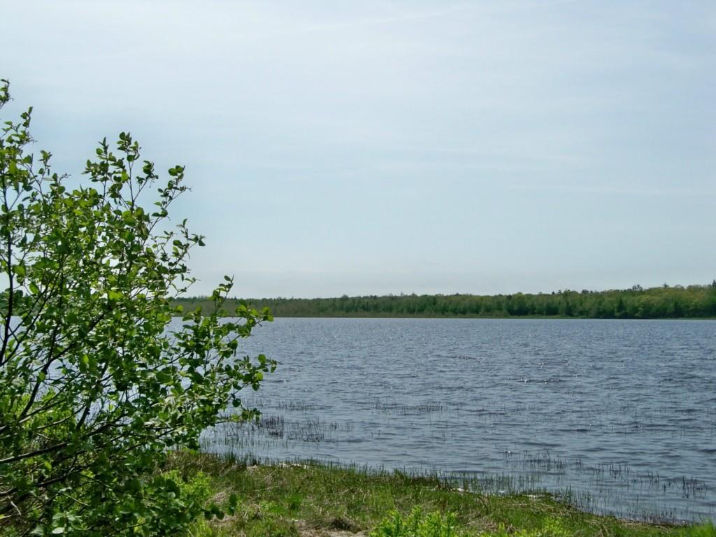 1291 Station Road Charlotte, ME 04666 - Photo 8 of 35 Pennamaquan Lake