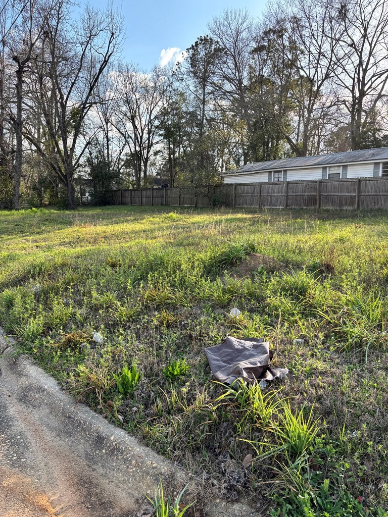 1114 Hamilton Street Dothan, AL 36301 - Photo 4 of 4