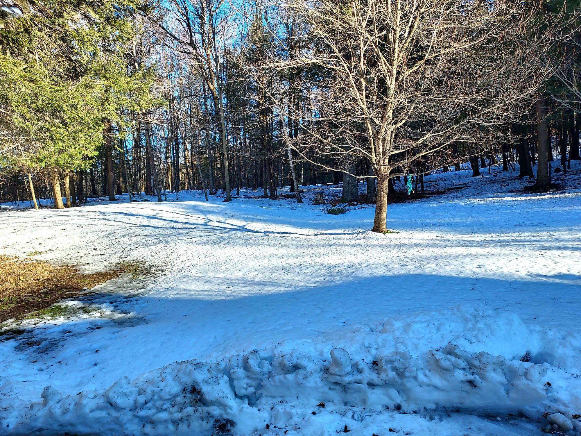 134 Quails Hill Road Brattleboro, VT 05301 - Photo 27 of 27
