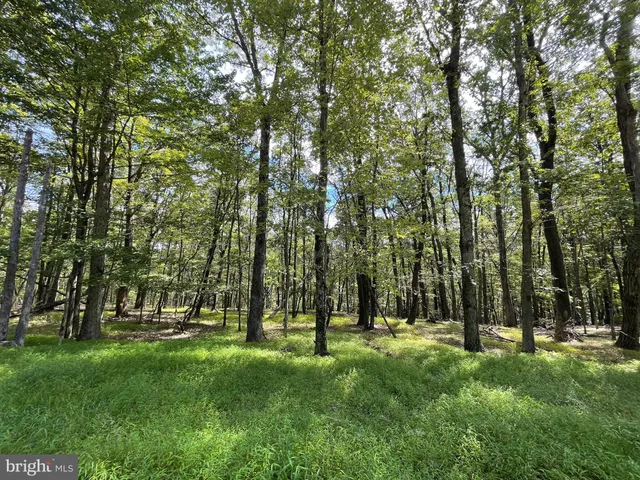 a view of outdoor space with a garden