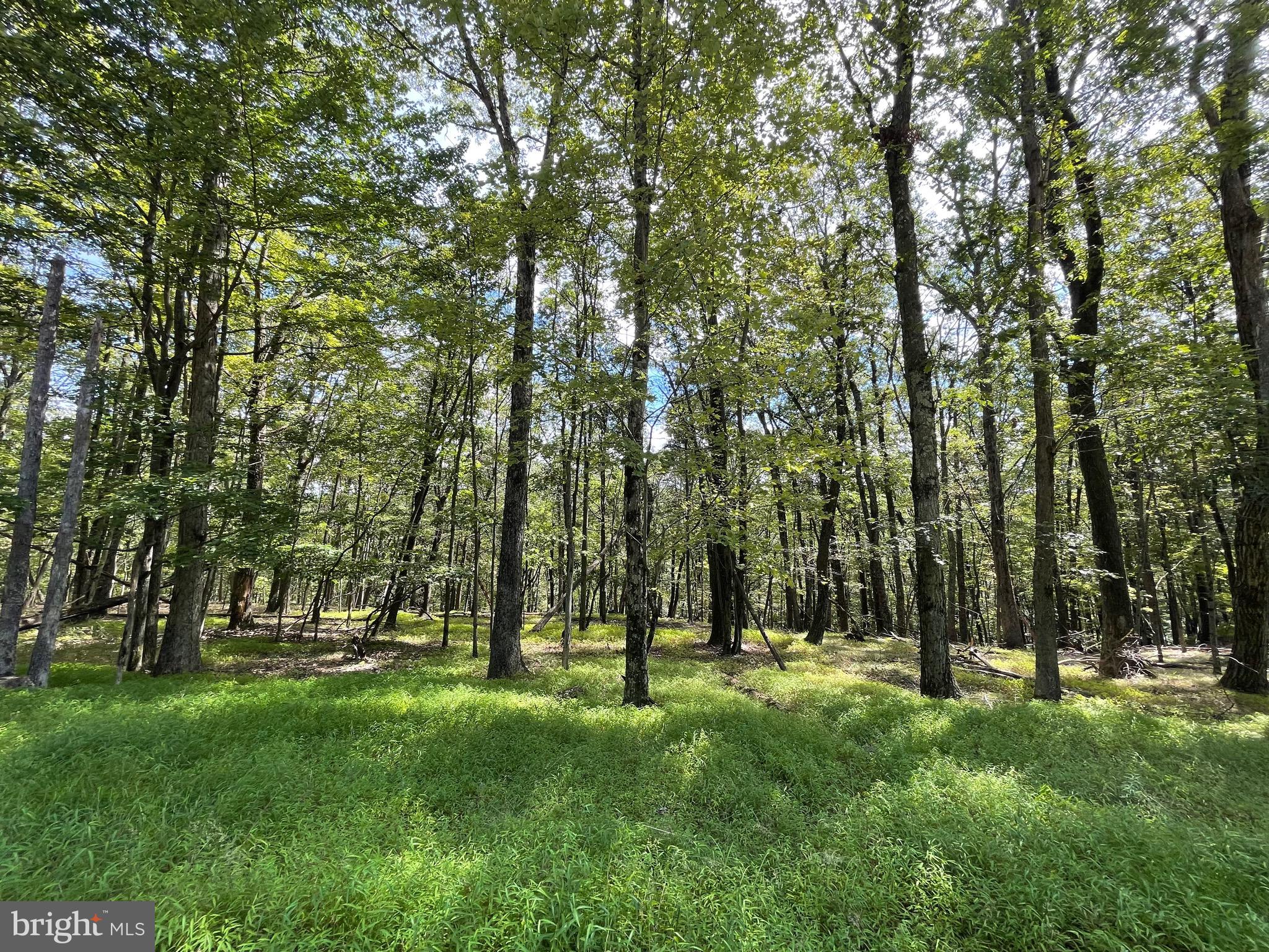 a view of outdoor space with a garden