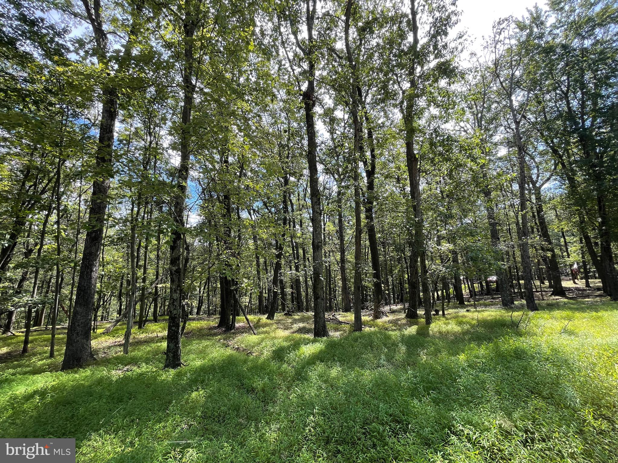 116 Spring Mountain Drive Zion Grove, PA 17985 - Photo 2 of 18 a view of park space