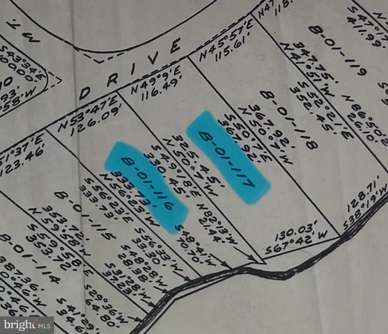 a view of a wooden bench under a tree