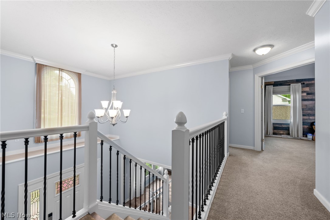 575 Walnut Ridge Trail Aurora, OH 44202 - Photo 15 of 20 Hallway with carpet floors, an inviting chandelier, and ornamental molding