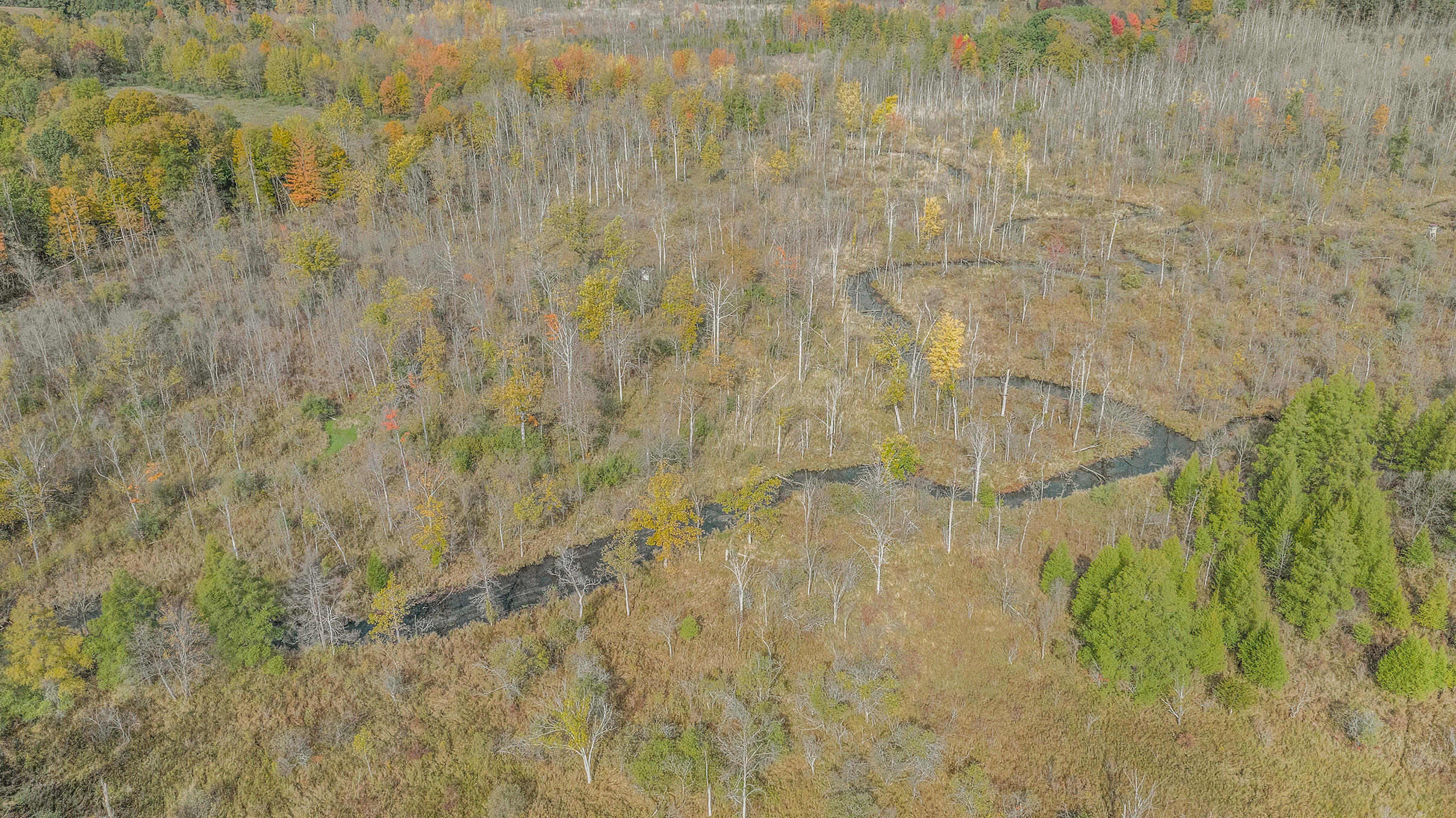 14220 Stuck Road Delton, MI 49046 - Photo 23 of 28 DJI_0228