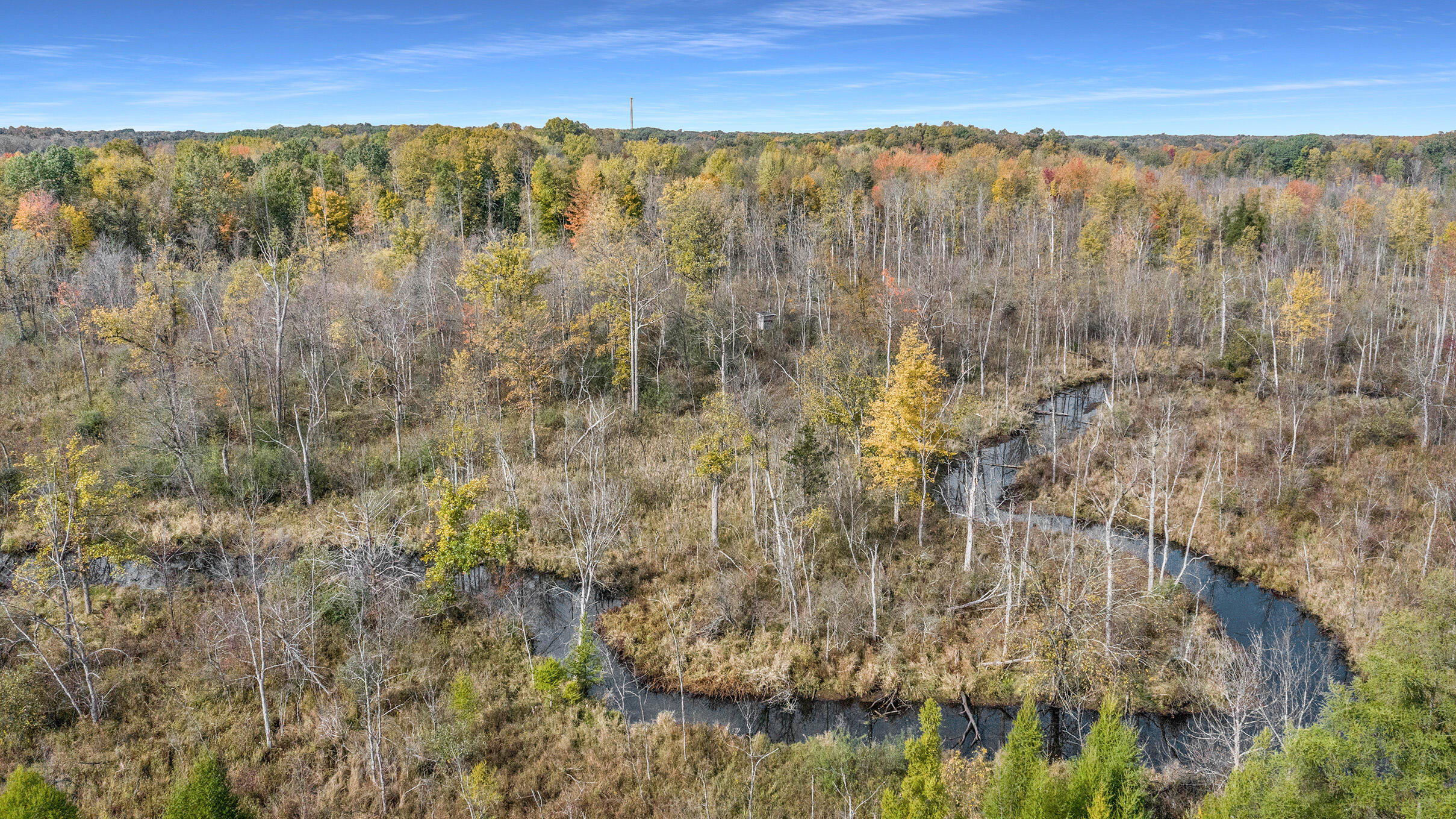 14220 Stuck Road Delton, MI 49046 - Photo 4 of 28 DJI_0238