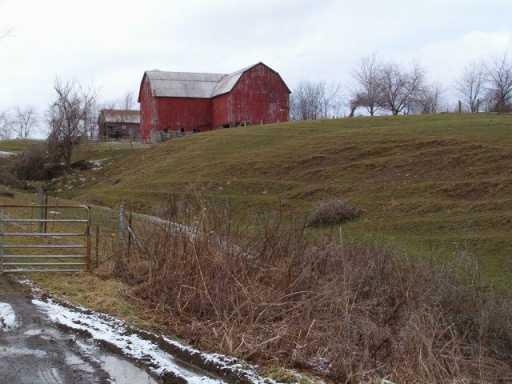 911 Patterson Road New Beaver, PA 16141 - Photo 3 of 5 Other.