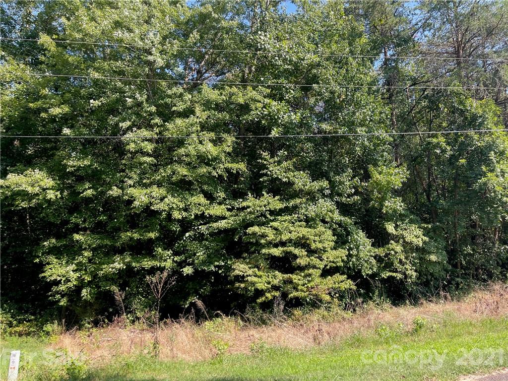 Tbd Bubbling Brook Road Maiden, NC 28650 - Photo 3 of 6 Gallery Image 3