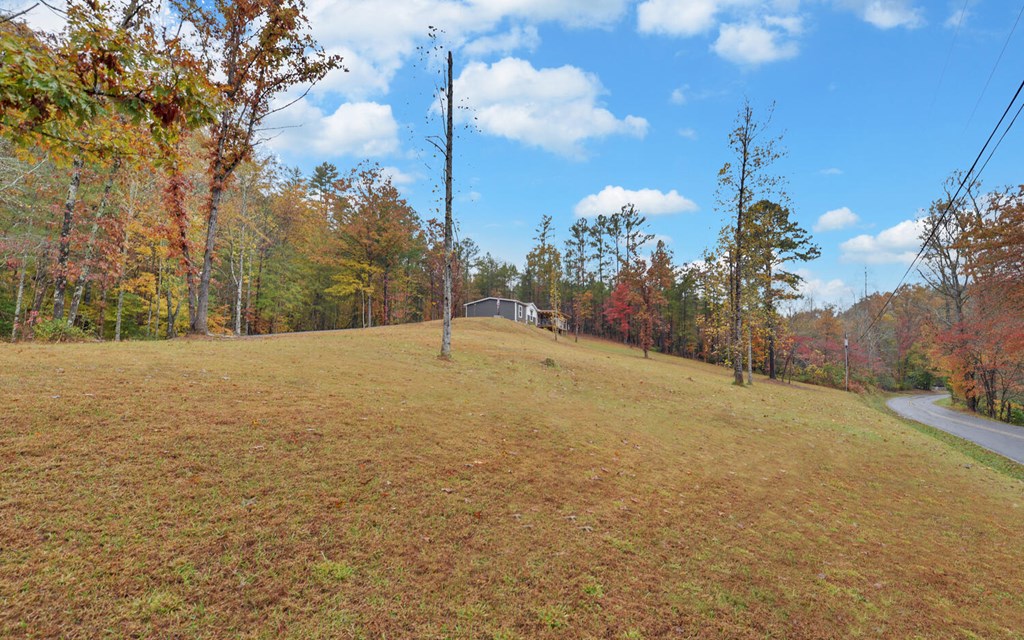 20 Daugherty Ridge Murphy, NC 28906 - Photo 44 of 45 Gallery Image 44