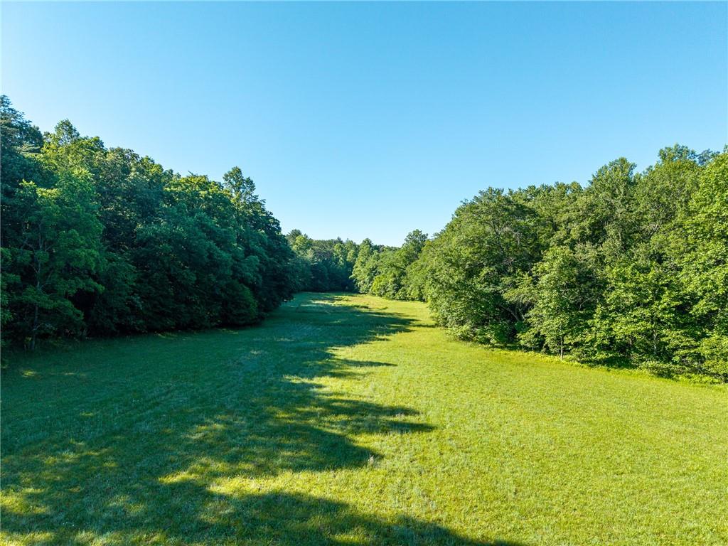 5664 Mobile Road Blue Ridge, GA 30513 - Photo 66 of 82
