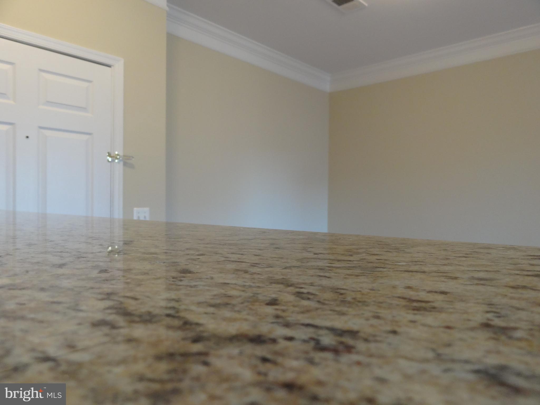 1591 Spring Gate Dr., Unit 3310 McLean, VA 22102 - Photo 4 of 31
