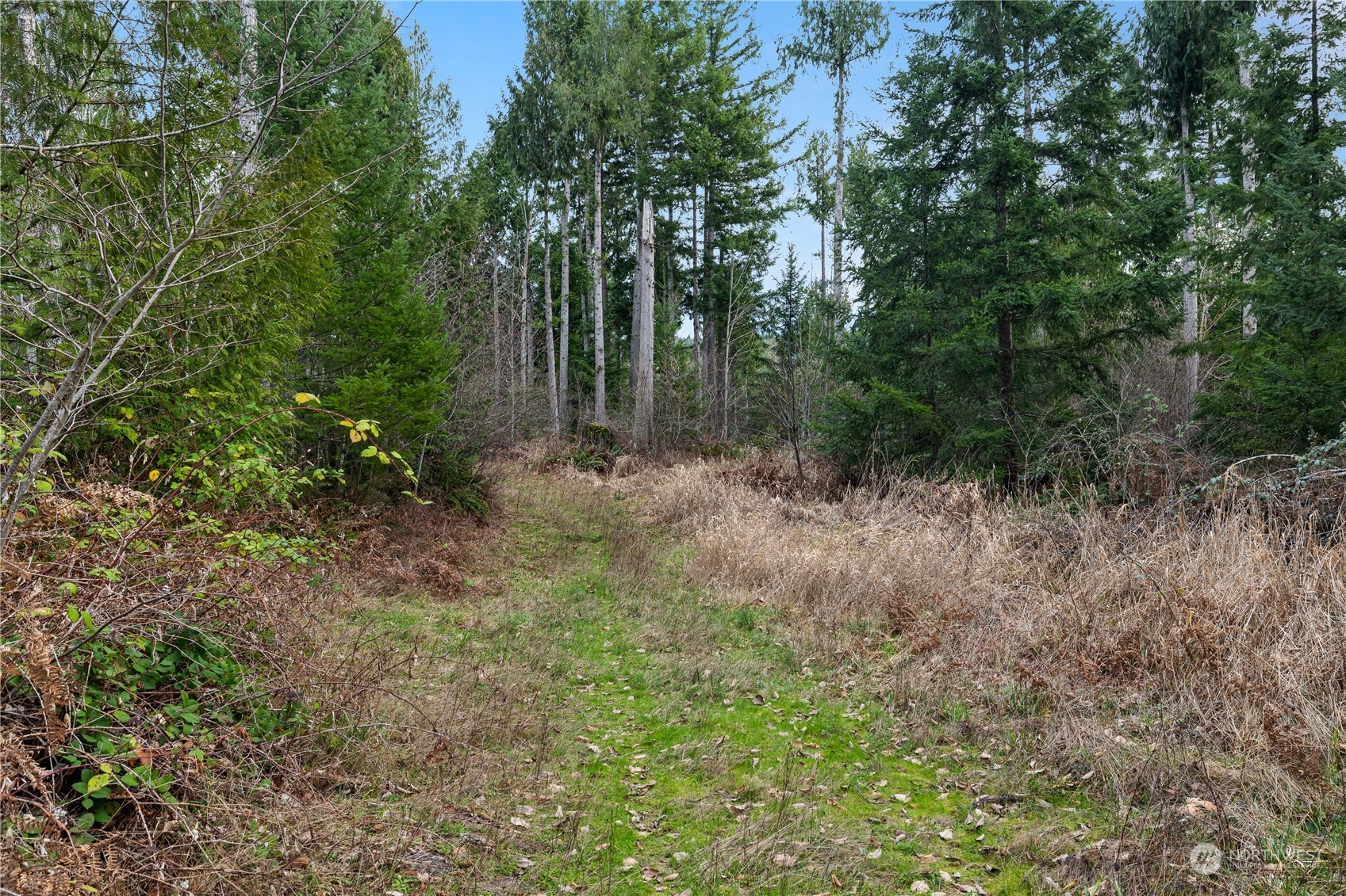 17 Mulqueen Road Southeast Rainier, WA 98576 - Photo 1 of 12 Gallery Image 1